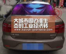 大城市周边准生态的工业经济转型研究“开云电竞平台”(图3) 开云电竞平台