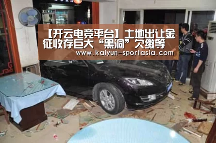 【开云电竞平台】土地出让金征收存巨大“黑洞”欠缴等行为必须重罚(图1) 开云棋牌游戏